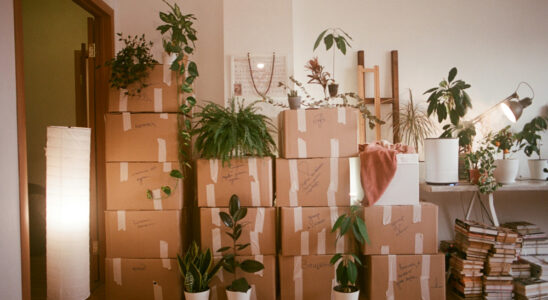 entreprises débarras