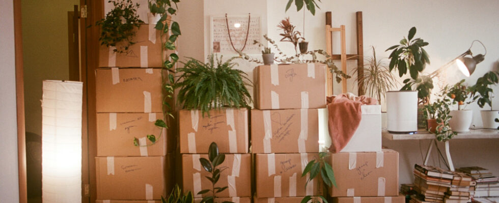 entreprises débarras