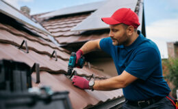 immobilier dans la Haute-Marne