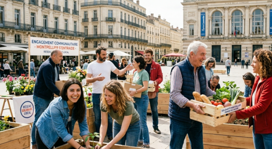 quartiers Montpellier