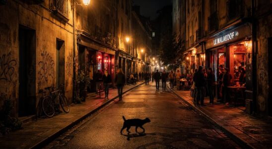 découvrez les secrets et l'histoire fascinante du quartier chaud malakoff à nantes, un lieu atypique plein de charme et de surprises.