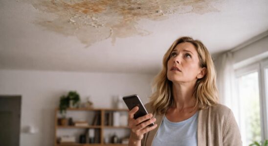 découvrez quelle assurance contacter en cas de tache d'humidité au plafond et les démarches à suivre pour une prise en charge efficace.
