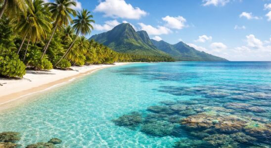 découvrez comment investir en polynésie, un véritable coin de paradis au bout du monde, alliant beauté naturelle, sérénité et opportunités uniques.