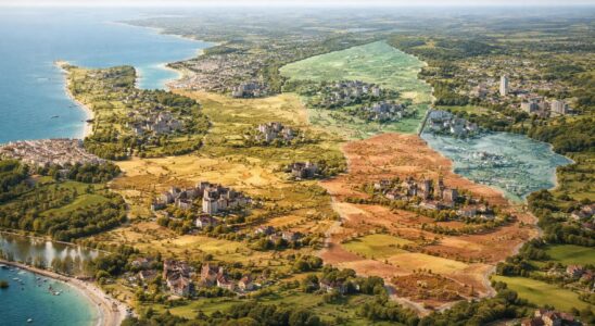 découvrez l'évolution des prix de l'immobilier en normandie, analyse par département pour mieux comprendre les tendances du marché local.