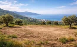 découvrez des terrains à vendre à bejaia, une opportunité idéale pour les investisseurs cherchant à développer leurs projets dans une région en pleine croissance.