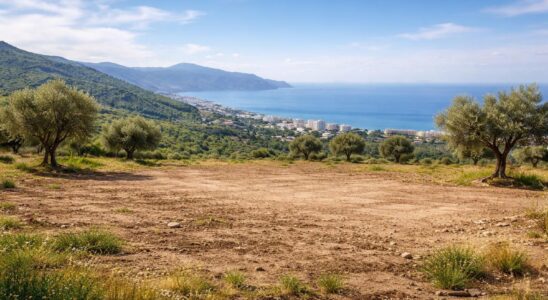 découvrez des terrains à vendre à bejaia, une opportunité idéale pour les investisseurs cherchant à développer leurs projets dans une région en pleine croissance.