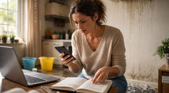 découvrez comment trouver rapidement le numéro de téléphone d'urgence de foncia en cas de sinistre pour une intervention rapide et efficace.
